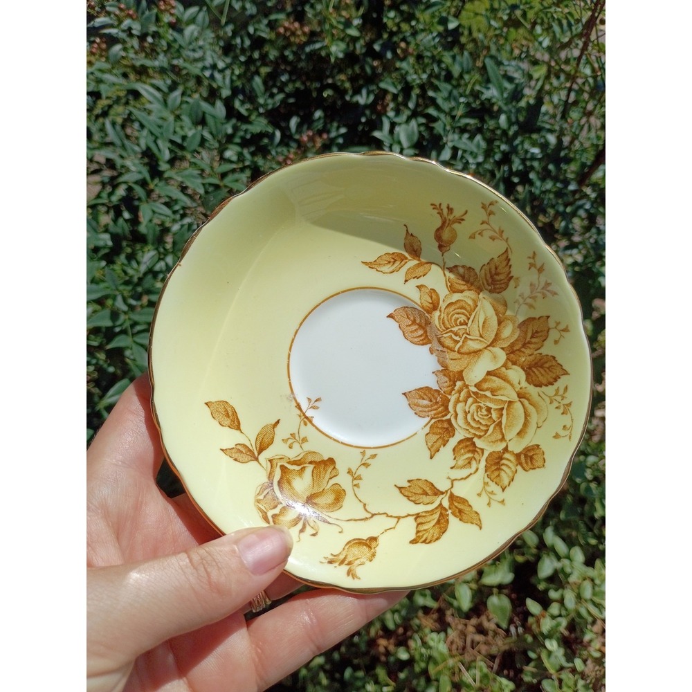 Vintage Paragon Floating Blush Beige Tan Cabbage Roses Saucer Only No cup 5.5"